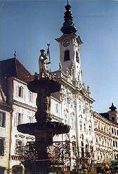Rathaus und Leoppoldibrunnen